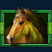 happy hooves slot green horse symbol