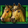 happy hooves slot green wild symbol