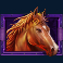 happy hooves slot purple horse symbol