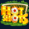 hot shots 2 slot hot shots symbol