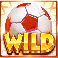 hot shots megaways slot wild symbol
