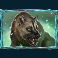 mount m slot cave hyena symbol