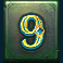 phoenix paradise slot 9 symbol