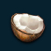 tropical bonanza slot coconut symbol