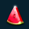tropical bonanza slot watermelon slice symbol