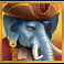 wild buccaneers megaways slot pirate elephant symbol