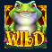 wild hop and drop slot wild symbol