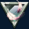 alpha eagle slot feathers symbol
