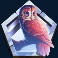 alpha eagle slot owl symbol