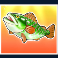big bass keeping it reel slot any fish symbol