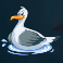 boat bonanza slot seagull symbol