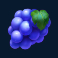 dropz slot grape symbol
