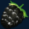 forest fortune slot blackberry symbol