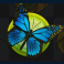 forest fortune slot blue butterfly symbol