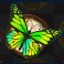 forest fortune slot green butterfly symbol