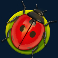 forest fortune slot ladybird symbol