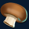 forest fortune slot mushroom symbol