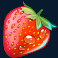 forest fortune slot strawberry symbol