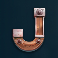 fortune rewind slot j symbol