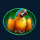 pirate golden age slot parrott symbol