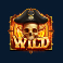 pirate golden age slot wild symbol