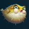 release the kraken 2 slot pufferfish symbol