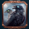 thunderstruck stormchaser slot black ravens symbol