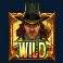 brides of dracula hold & win slot wild symbol