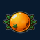 freeway 7 slot orange symbol