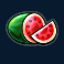 freeway 7 slot watermelon symbol