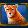 gems of serengeti slot cheetah symbol