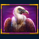 gems of serengeti slot vulture symbol