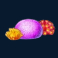 gold fish feeding time treasure slot coral symbol