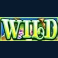 gold fish feeding time treasure slot small wild symbol