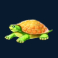 gold fish feeding time treasure slot turtle symbol