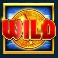 rainbow riches power pitch slot gold coin wild symbol