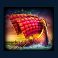shield of sparta slot ship symbol