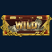 el patron slot wild symbol