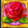 golden goddess slot rose symbol