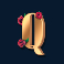 guns n roses slot q symbol