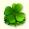 lucky ladys charm deluxe slot four leaf clover symbol