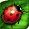 lucky ladys charm deluxe slot ladybird symbol
