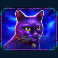 madame destiny megaways slot cat symbol