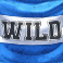 maradona slot argentinian flag wild symbol