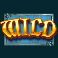 o reillys riches gold hit slot wild symbol