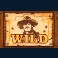 outlaws hunter slot wild symbol
