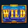 reel banks slot wild symbol