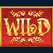 riches of rumpelstiltskin megaways slot wild symbol