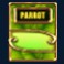 rum and raiders slot parrot special symbol