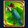 rum and raiders slot parrot symbol